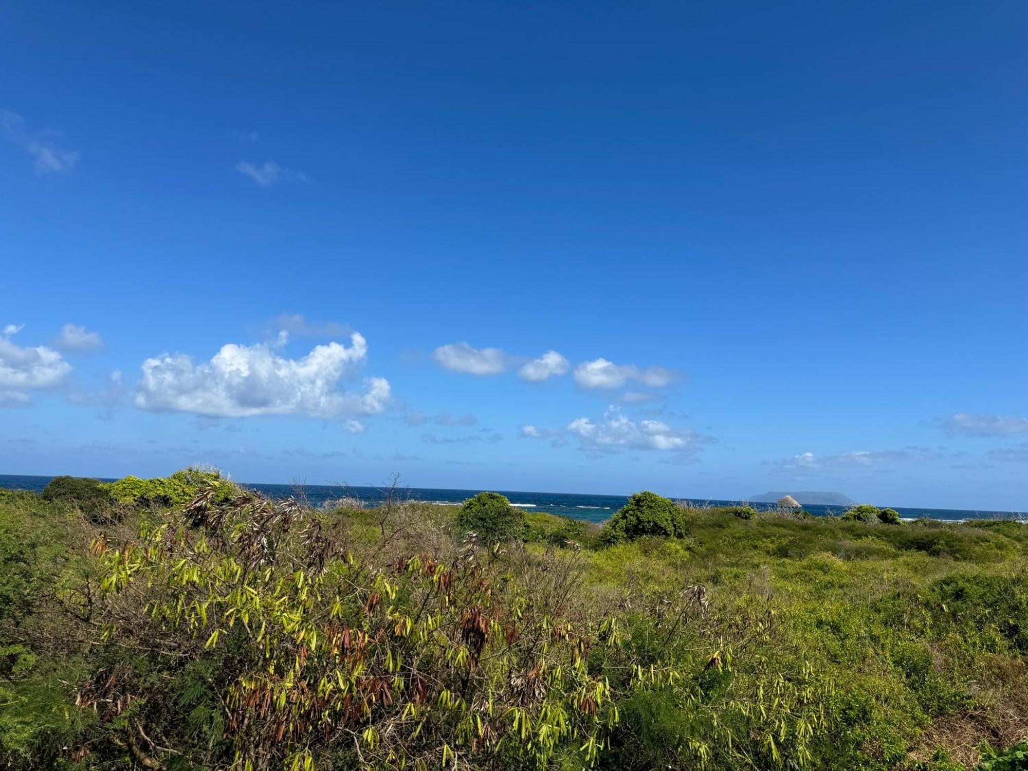 Maison Bord De Mer A 100 M Saint-Francois  Eksteriør billede