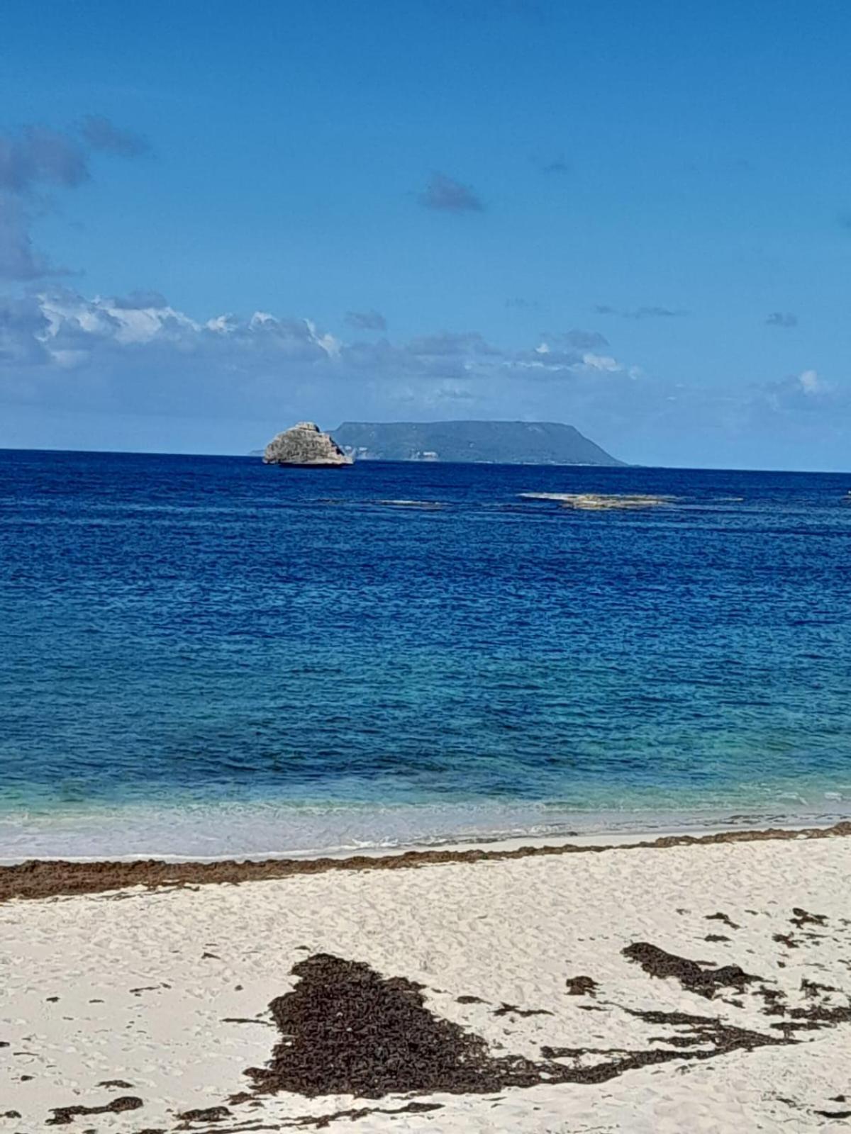 Maison Bord De Mer A 100 M Saint-Francois  Eksteriør billede
