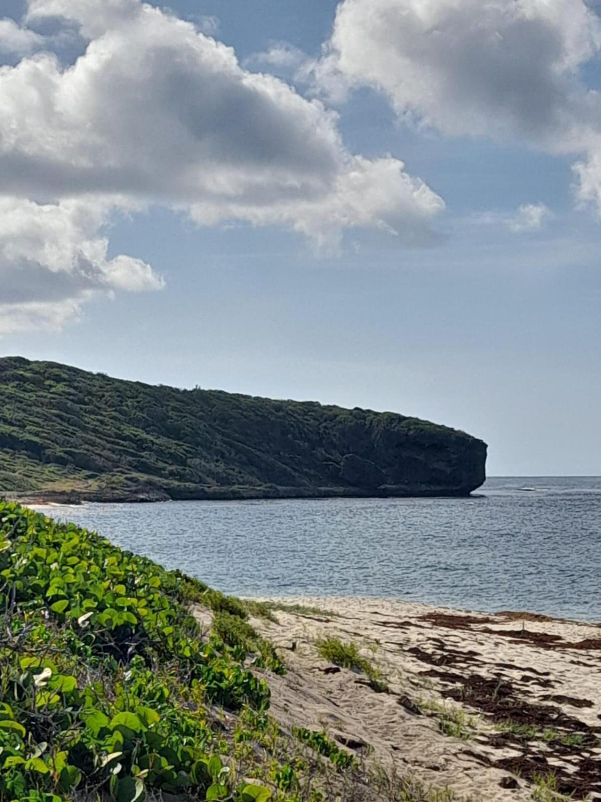 Maison Bord De Mer A 100 M Saint-Francois  Eksteriør billede